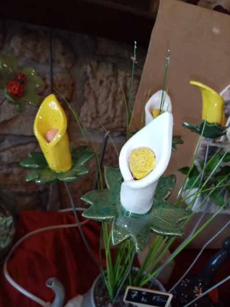 Arum